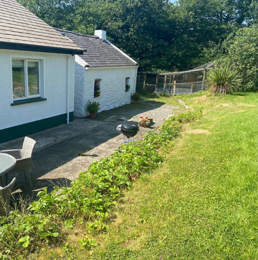 Hawthorn Cottage Гринкасл Экстерьер фото